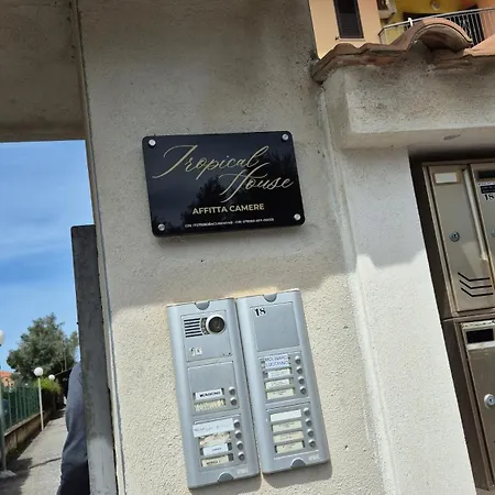 Tropical House Gizzeria